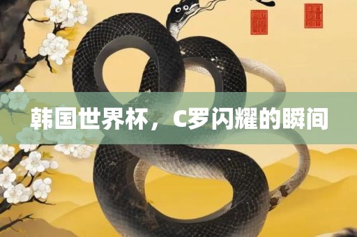 韩国世界杯,C罗闪耀的瞬间广州熙林手袋有限公司