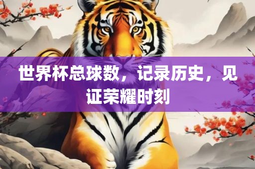 世界杯总球数,记录历史广州熙林手袋有限公司,见证荣耀时刻