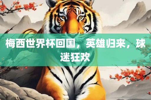 梅西世界杯回国,英雄归来,球迷狂欢