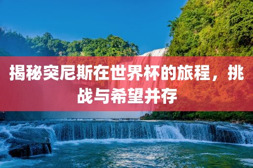 揭秘突尼斯在世界杯的旅程,挑战与希望并存广州熙林手袋有限公司