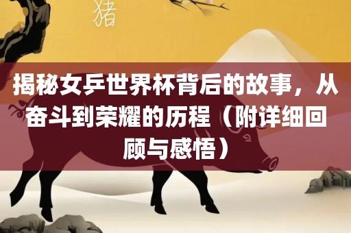 揭秘女乒世界杯背后的故事,从奋斗到荣耀的历程(附详细回顾与感悟)