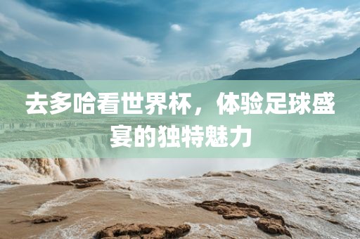 去多哈看世界杯,体验足球盛宴的独特魅力广州熙林手袋有限公司