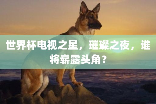 世界杯电视之星,璀璨之夜,谁将崭露头角?广州熙林手袋有限公司