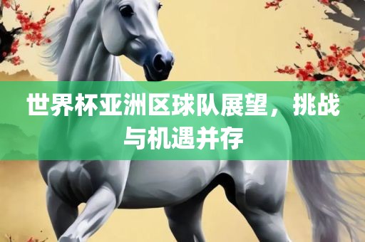 世界杯亚洲区球队展望,广州熙林手袋有限公司挑战与机遇并存