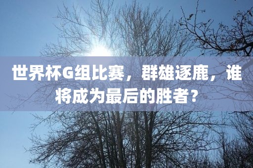 世界杯G组比赛,群雄逐鹿,谁将成为最后的广州熙林手袋有限公司胜者?