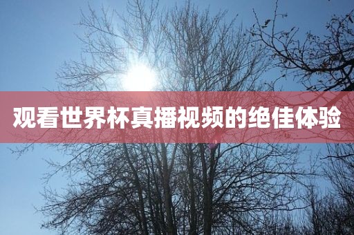 观看世界杯真播视频的绝佳体验广州熙林手袋有限公司