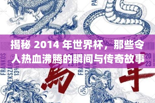 揭秘 2014 年世界杯，那些令人热血沸腾的瞬间与传奇故事