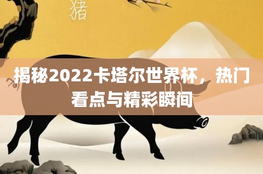 揭秘2022卡塔尔世界杯，热门看点与精彩瞬间