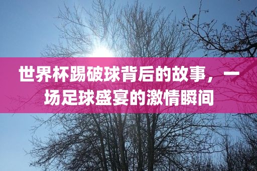 世界杯踢破球背后的故事,一场足球盛宴的激情瞬间