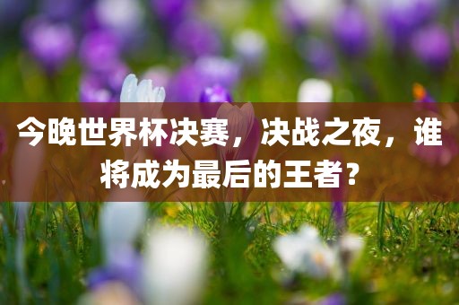 今晚世界杯决赛，决战之夜，谁将成为最后的王者？