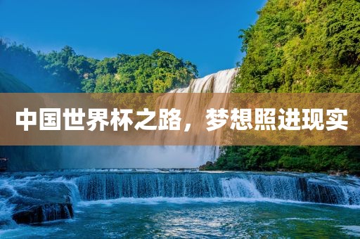 中国世界杯之路,梦想照进现实