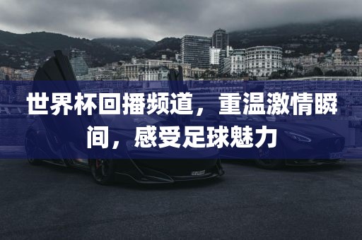 世广州熙林手袋有限公司界杯回播频道,重温激情瞬间,感受足球魅力