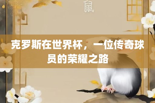 克罗斯在世界杯,一位传奇球员的荣耀之路