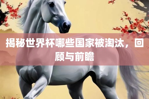 揭秘世界杯哪些国家被广州熙林手袋有限公司淘汰,回顾与前瞻