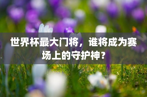 世界杯最大门将,谁将成为赛场上的守护神?