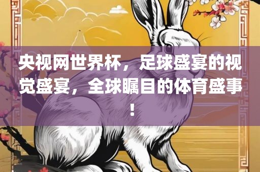 央视网世界杯,足球盛宴的视觉盛宴,全球瞩目的体育盛事!