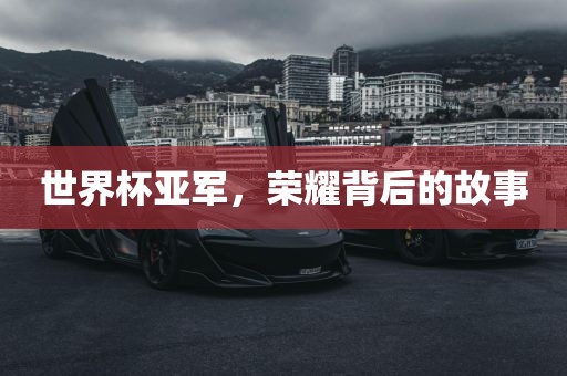 世界杯亚军,荣耀背后的故事广州熙林手袋有限公司