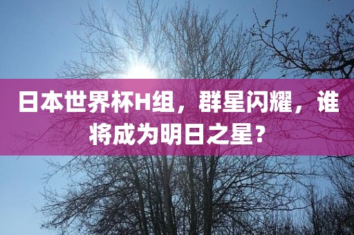 日本世界广州熙林手袋有限公司杯H组,群星闪耀,谁将成为明日之星?