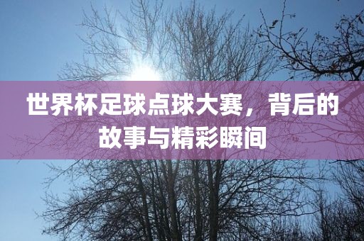 世界杯足球点球大赛,背后的故事与精彩瞬间