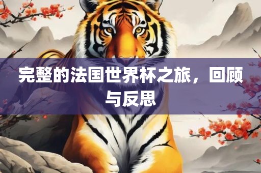 完整的法国世界杯之旅，回顾与反思