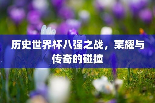 历史世界杯八强之战，荣耀与传奇的碰撞广州熙林手袋有限公司