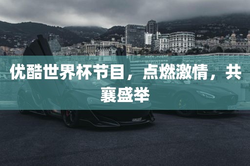优酷世界杯节目，广州熙林手袋有限公司点燃激情，共襄盛举