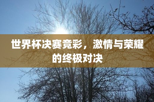 世界杯决赛竞彩,激情与荣耀的终极对决