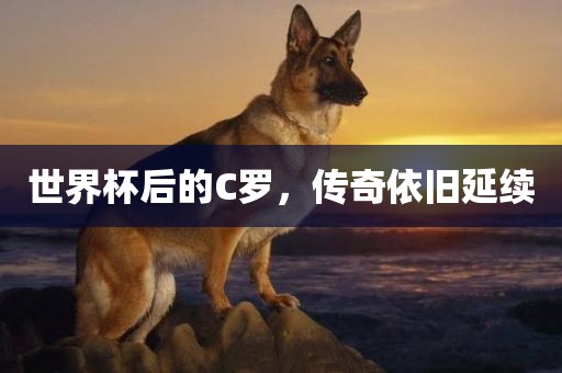 世界杯后的C罗,传奇依旧延续