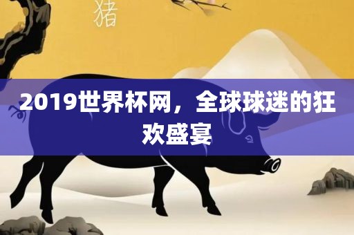 2019世界杯网,全球球迷的狂欢盛宴