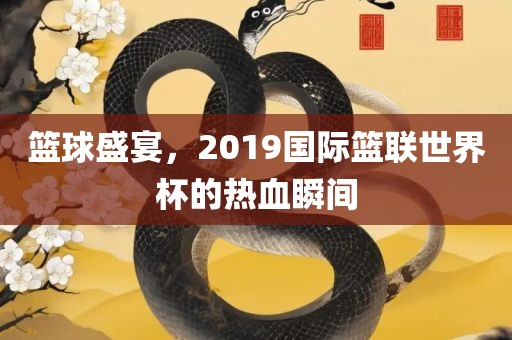 篮球盛宴,2019国际篮联世界杯的热血瞬间
