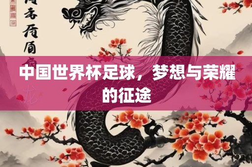 中国世界杯足球,梦想与荣耀的征途广州熙林手袋有限公司