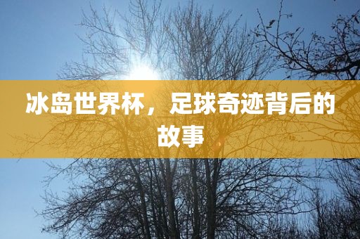 冰岛世界杯,足球奇迹背后的故事