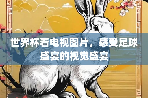世界杯看电视图片,感受足球盛宴的视觉盛宴广州熙林手袋有限公司