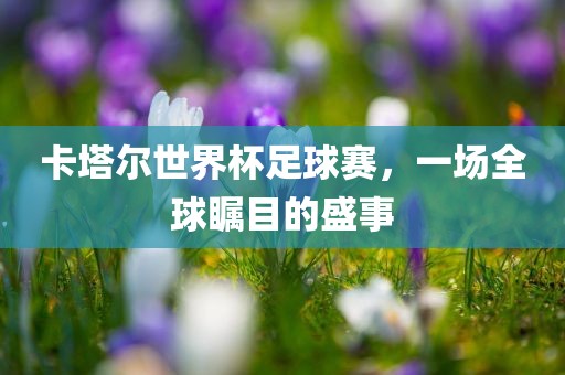 卡塔尔世界杯足球赛,一场全球瞩目的盛事