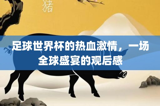 足球世界杯的热血激情，一场全球盛宴的观后感