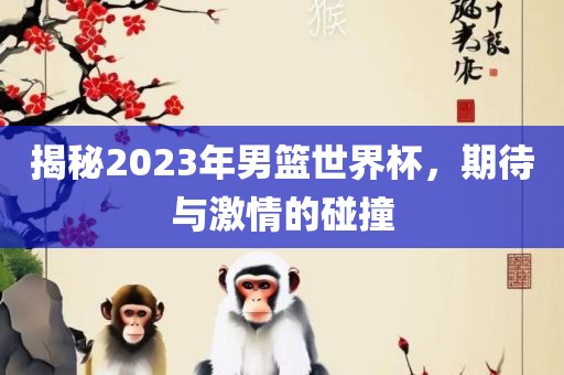 揭秘2023年男篮世界杯,期待与激情的碰撞