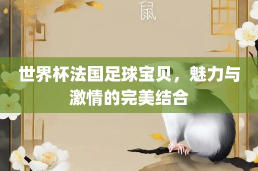 世界杯法国足球宝贝,魅力与激情的完美结合