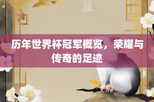 历年世界杯冠军概览,荣耀与传奇的足迹