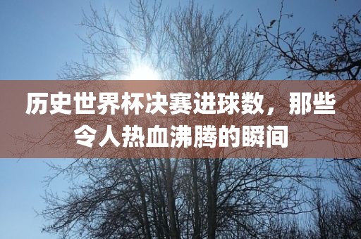 历史世界杯决赛进球数,那些令人热血沸腾的瞬间