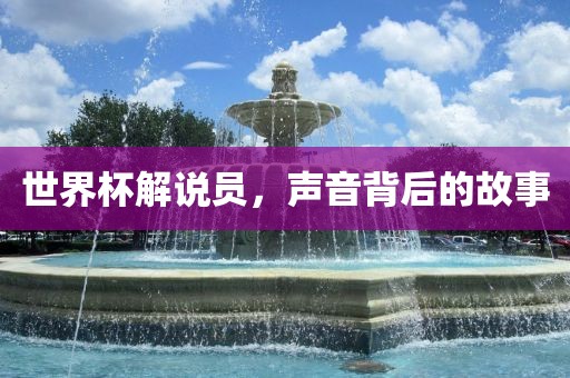 世界杯解说员，声音背后的故事