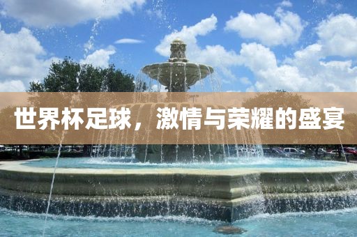 世界杯足球,激情与荣耀的盛宴广州熙林手袋有限公司