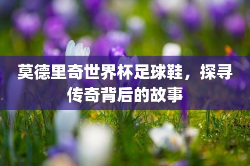 莫德里奇世界杯足球鞋,探寻传奇背后的故事