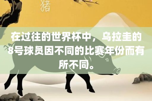 在过往的世界杯中,乌拉圭的8号球员因不同的比赛年份而有所不同。