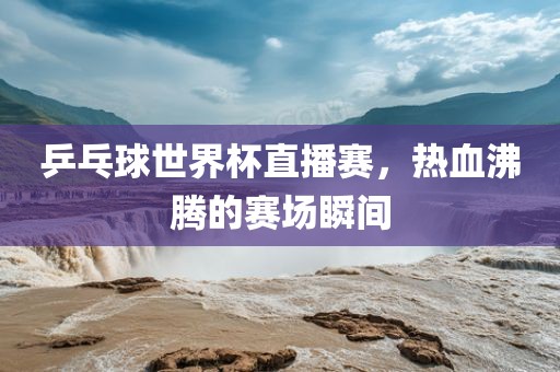 乒乓球世界杯直播赛,热血沸腾的赛场瞬间