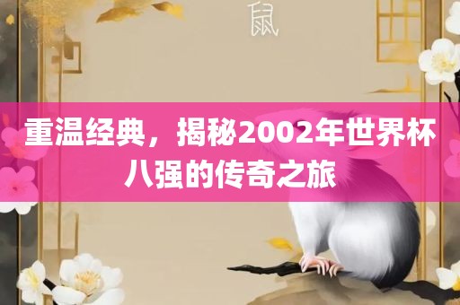 重温经典,揭秘2002年世界杯八强的传奇之旅广州熙林手袋有限公司