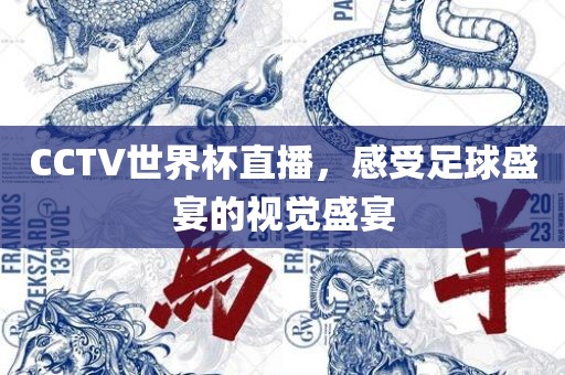 CCTV世界杯直播,感受足球盛宴的视觉盛宴广州熙林手袋有限公司