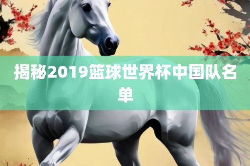 揭秘2019篮球世界杯中国队名单
