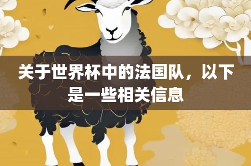 关于世界杯中的法国队,以下是一些相关信息广州熙林手袋有限公司