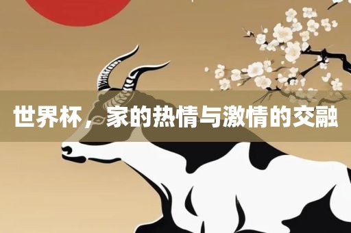 世界杯,家的热情与激情的交融