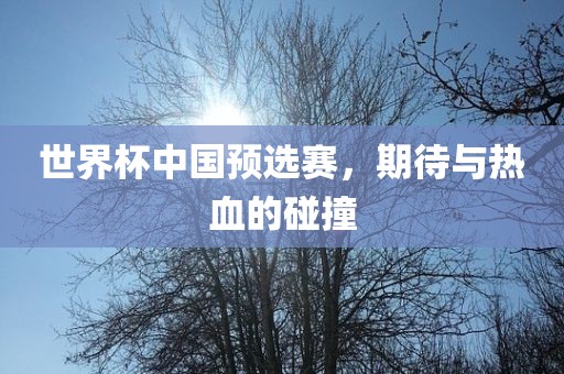 世界杯中国预选赛，期待与热血的碰撞